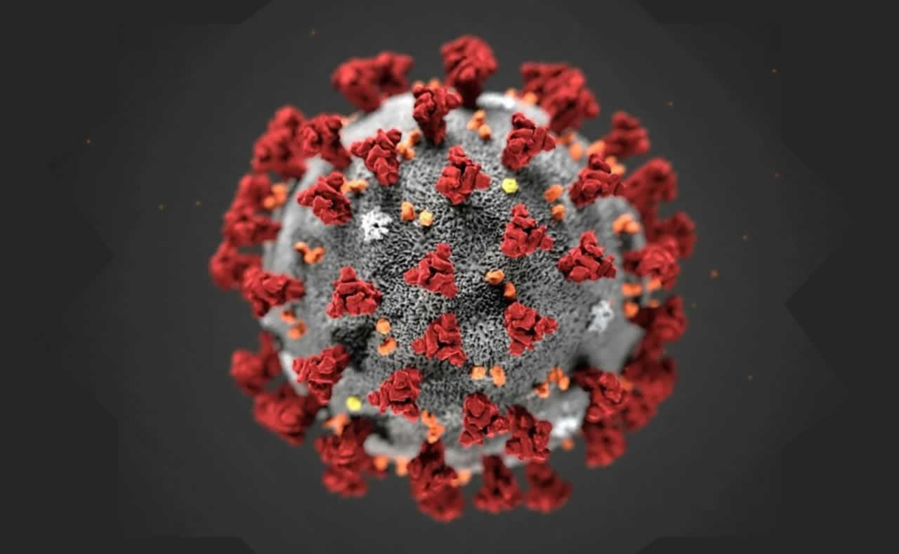 corona virus